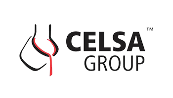 Celsa Group